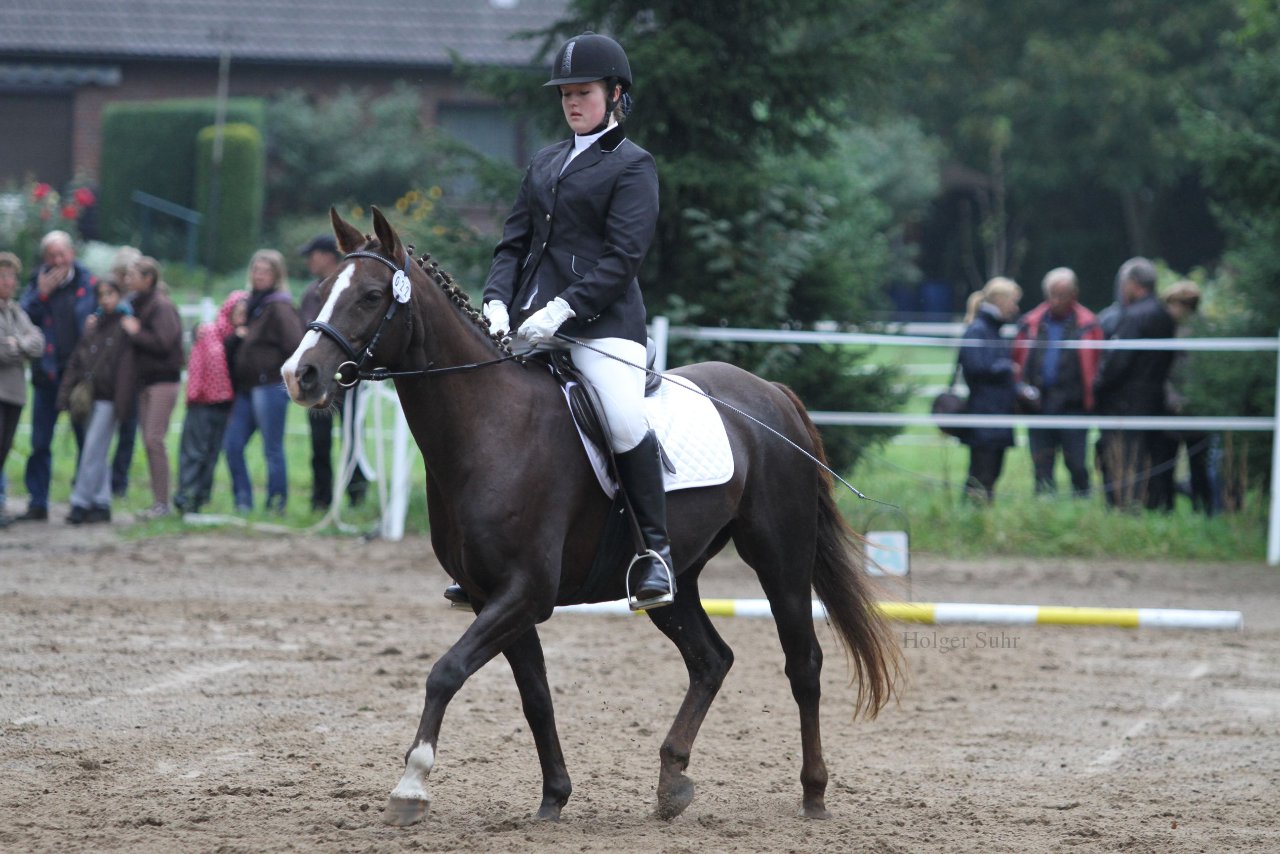 Bild 459 - WBO-Turnier am 18.9.11